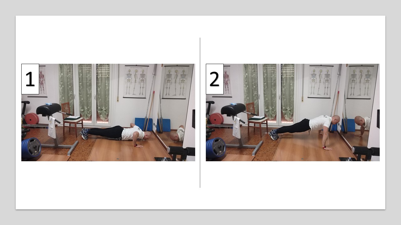 Diapositiva6